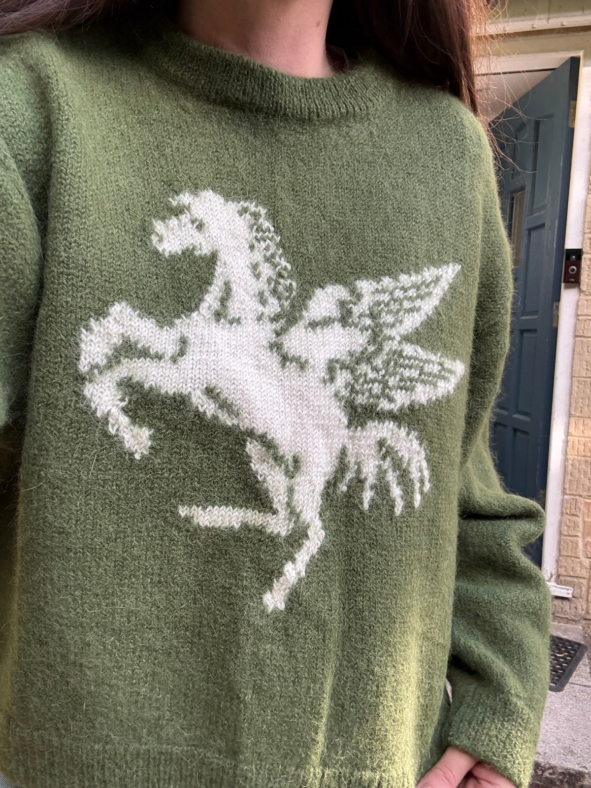 Pegasus jumper