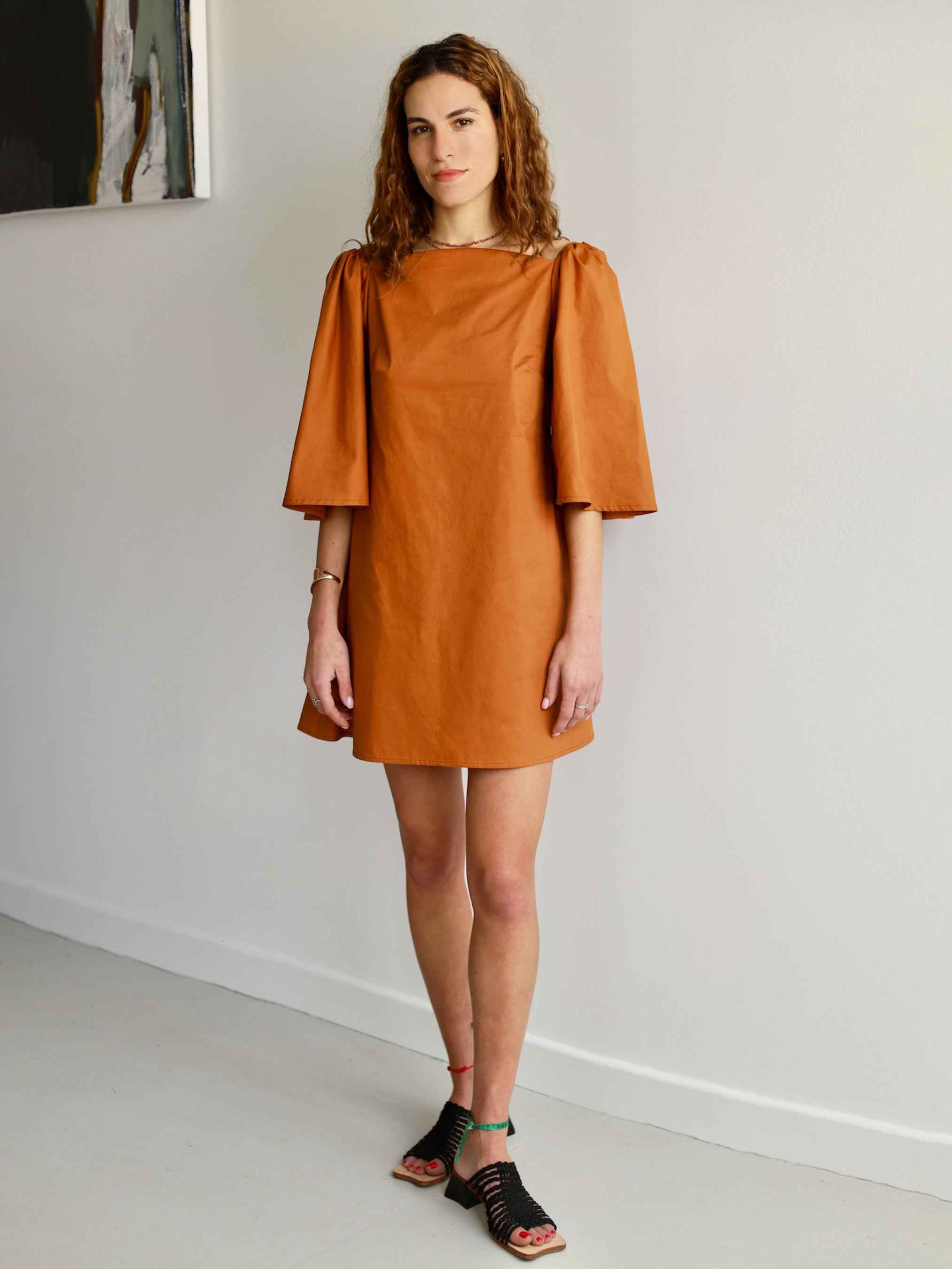 Delphine Mini Dress in Rust