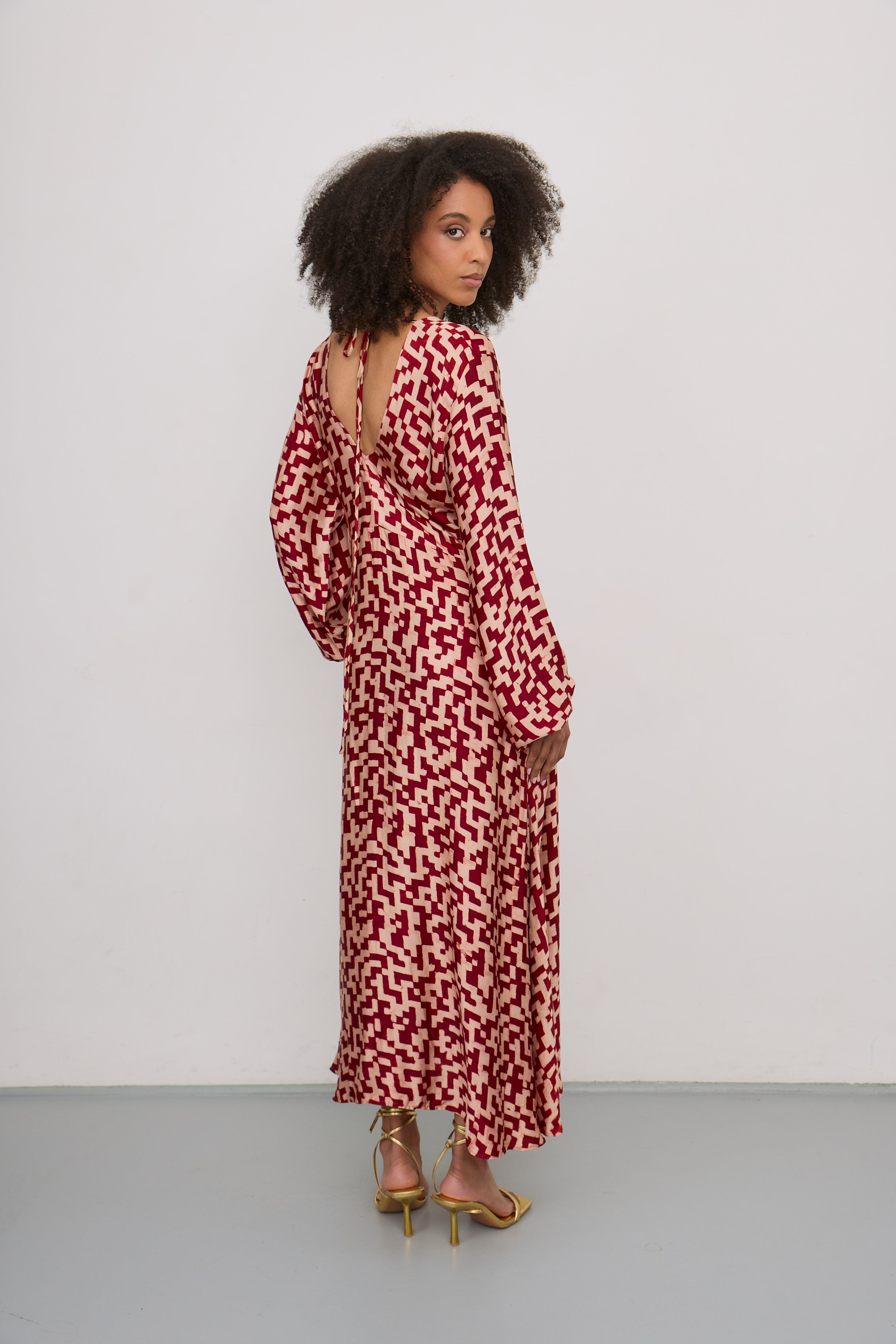 Taitu Silk Dress