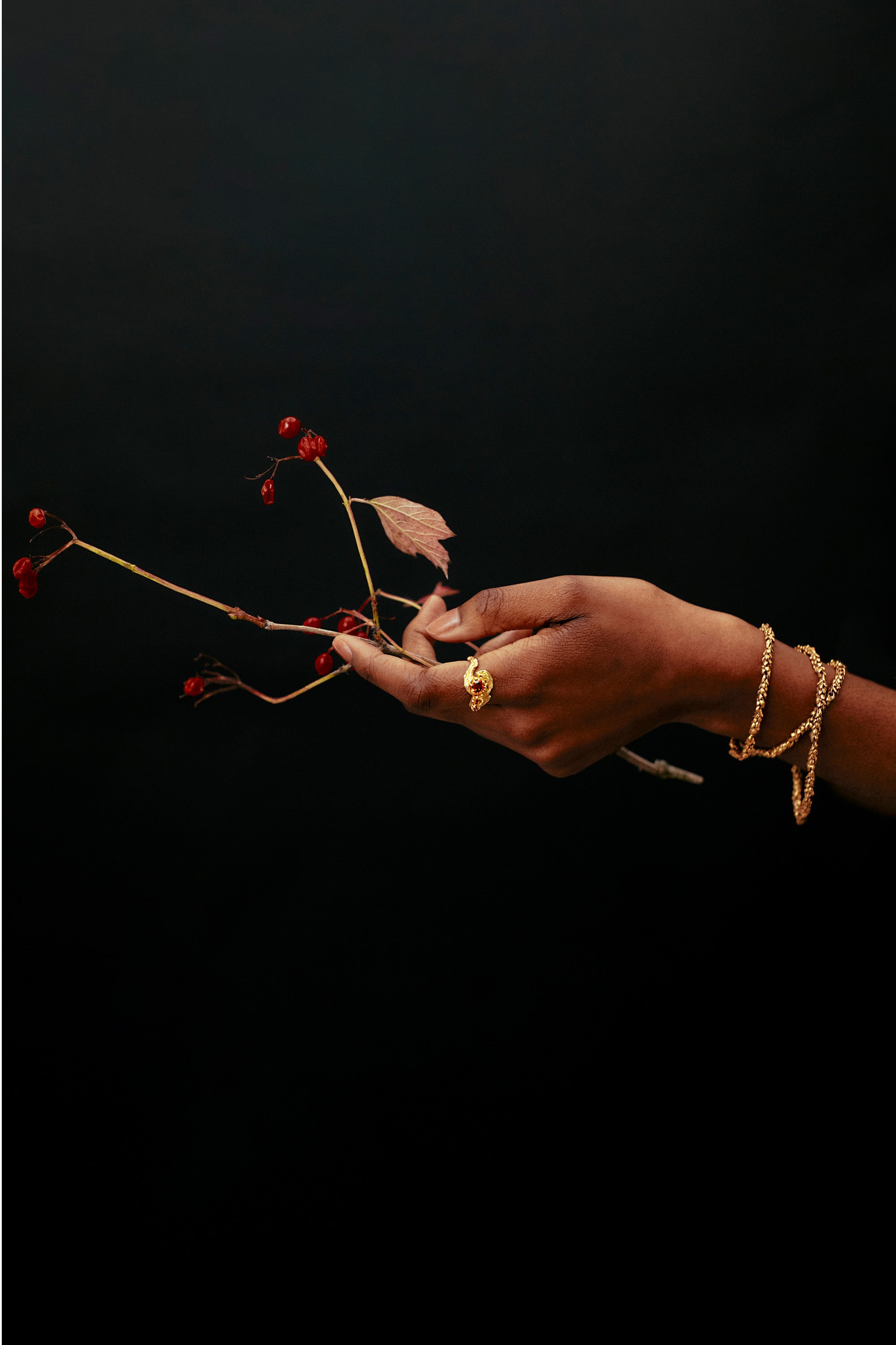 Herculean Promises